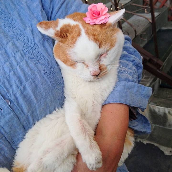 5851ef98 3645 429c 9b2d 89895b4bfb9a 1726466649865