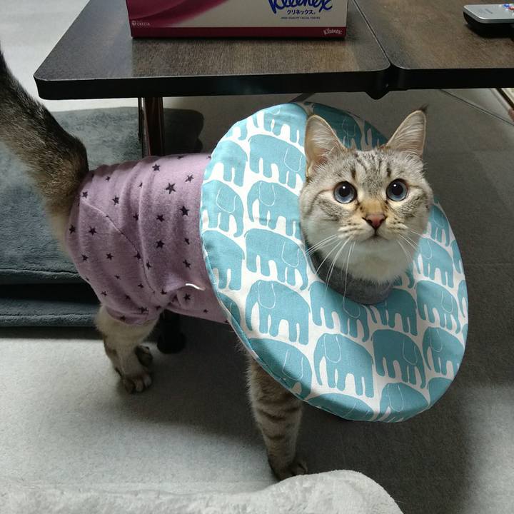 58521368 9b94 44ec 8c84 03f5820b8fec 1739360581608