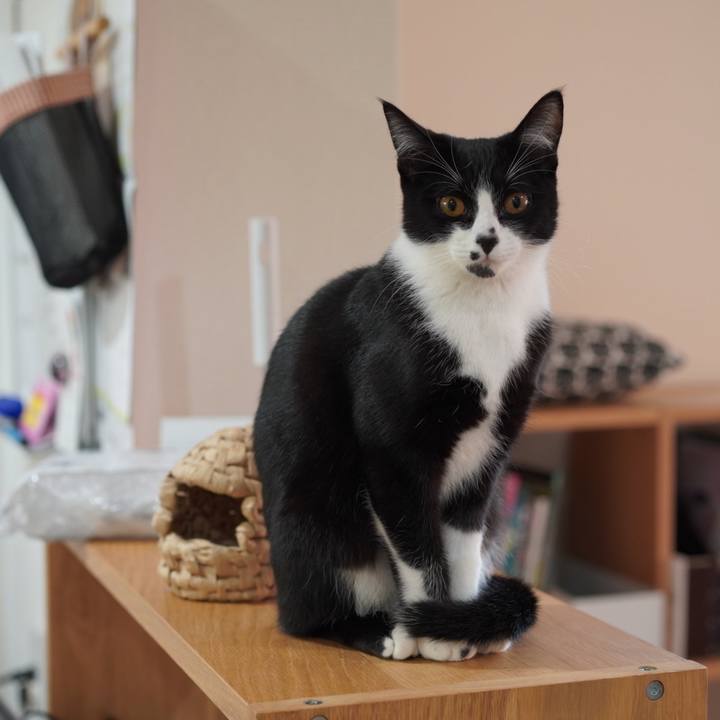 58522119 bbcb 4b82 bb03 35c016c00e0d 1582243537037