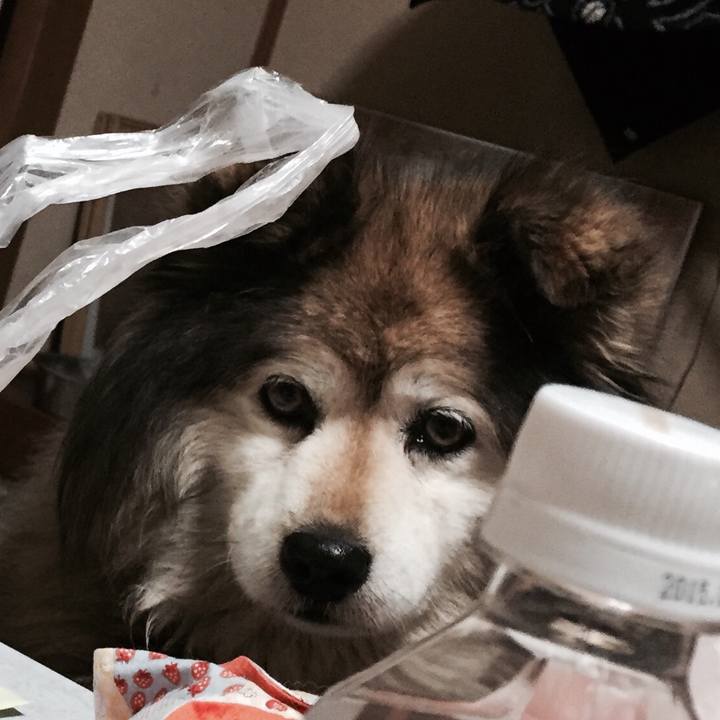 585232a1 34dd 4c48 9012 4abb8bed339a 1549849866594