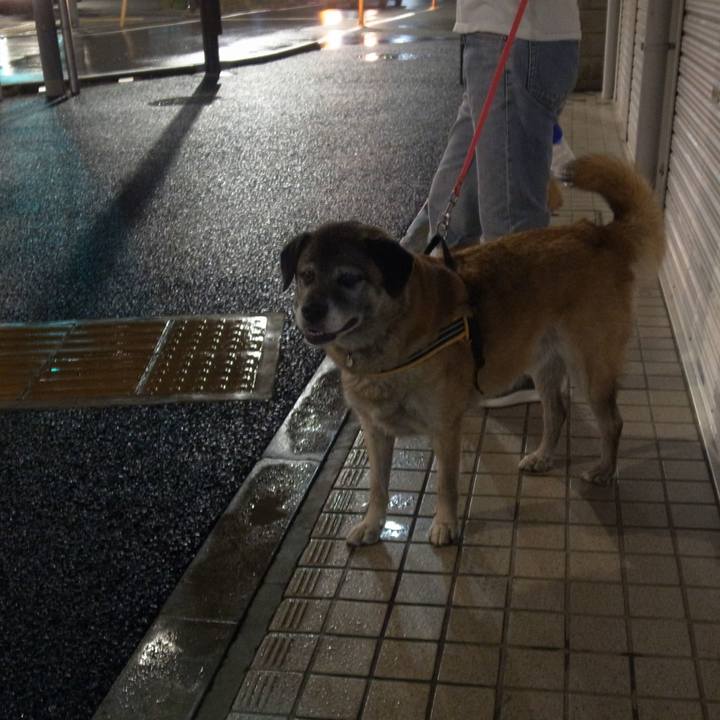 58523b63 0b9f 440b b89a 3624d9514990 1612060087202