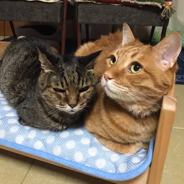 585282e9 7b90 499b aeda c7ced56d8091 1558346417565