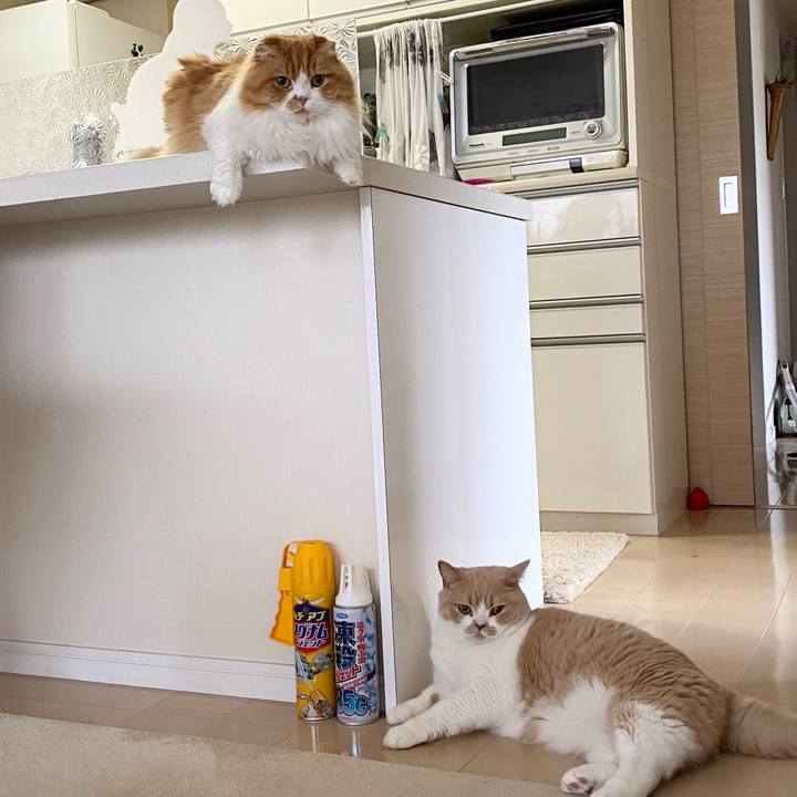 58529c4c ad11 40cb 8620 492aa56d82fe 1623807701114