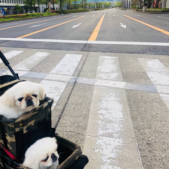 5852b0b9 258b 4ccd b7de dfd57ea2b22e 1587249962888