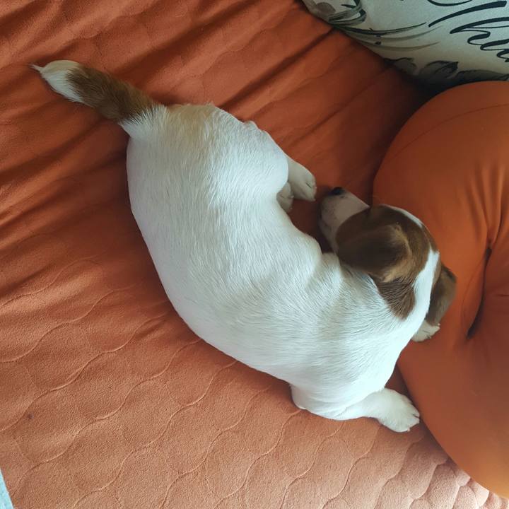 5852b4b9 610e 4c84 9045 1386839aaa94 1550969879936