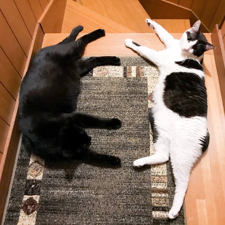 5852ba57 aabe 4971 9e4e 7a015435159e 1529853091629