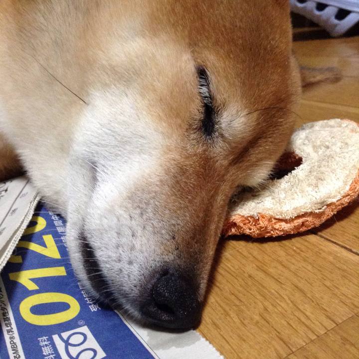 5852edfe 46ae 4e0f 9af8 198b8928c8d8 1535805821245