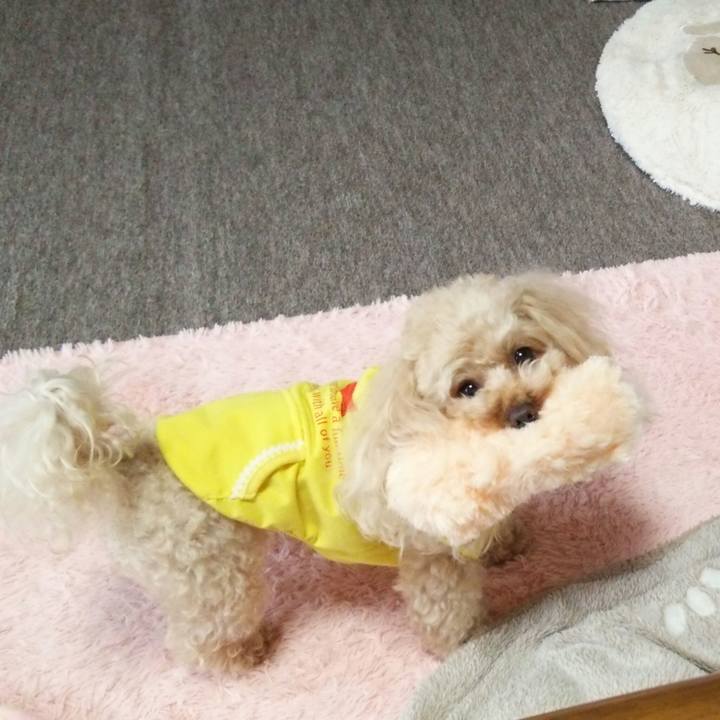 585334d5 ba93 47f6 92a9 4cdf1cbaf38a 1523058283481