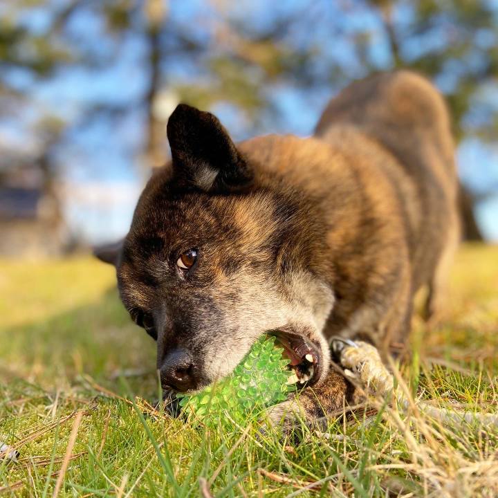 58536992 daf7 4074 9965 8c4f7076aeeb 1585125619766