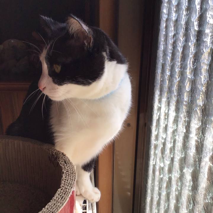 58538f4f 5238 4558 8c99 5e337e33b4be 1742434746585