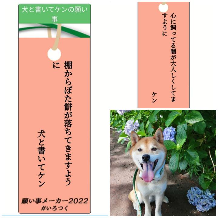 5853cead 5e21 4667 ad65 6251d6adde15 1657026333762