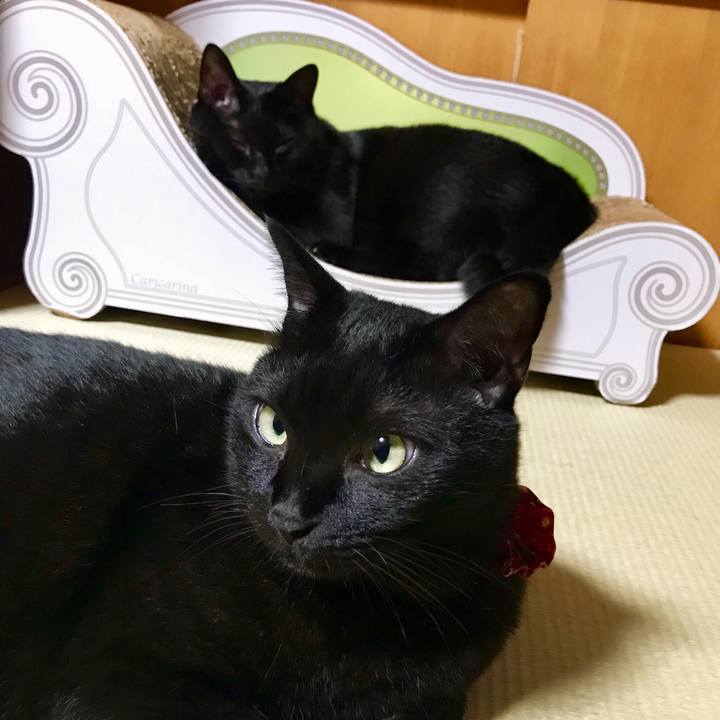 58540e3f 382f 4bda ac05 092d5b75247f 1536067254096