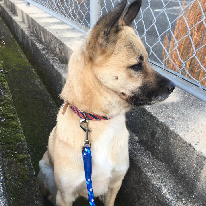 58544905 261e 4a0b a835 5064712a43dd 1515229390456