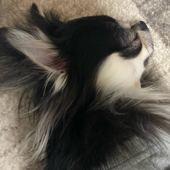 585482cd 6af4 4015 be8f a4cd17c2f744 1613917097429