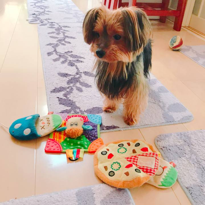 5854bbfd 7850 49f0 8b0e 1711ff40e61a 1533973395056