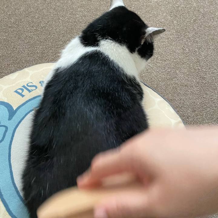 5854c830 e139 4551 a3af 1dddc858d78d 1721527718729