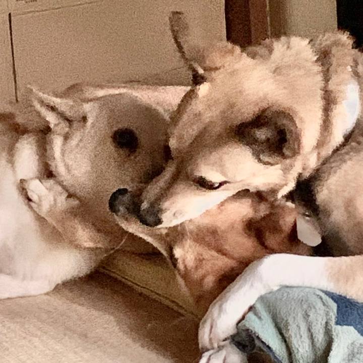 5854f12d 314c 4f36 b62d 4c6ebc6e7872 1596254273068