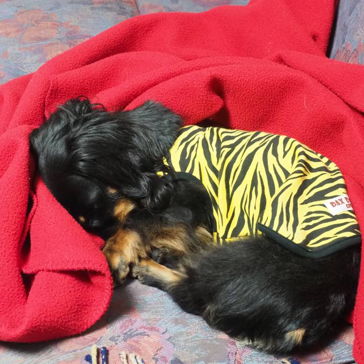 585518b0 3f85 4ff0 82e7 0cb55716644d 1650530387311