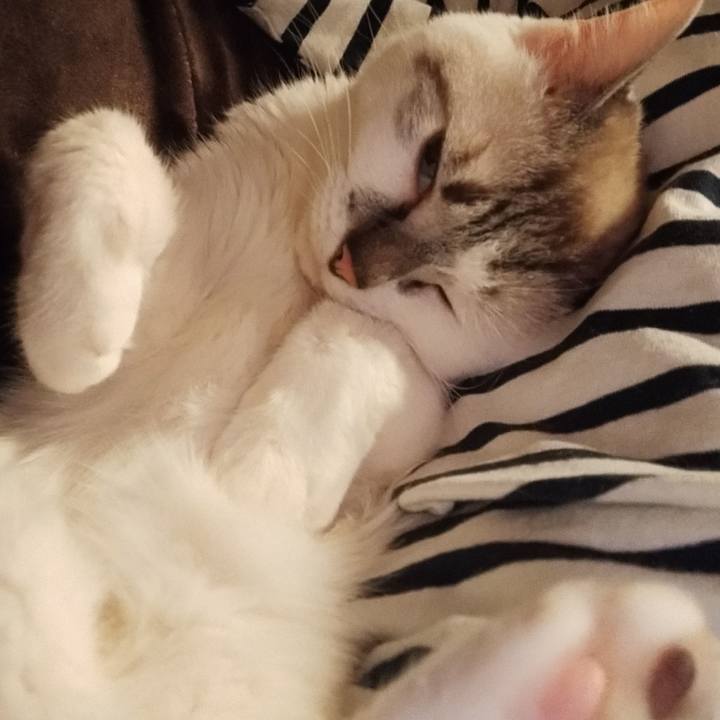 585529d2 b598 436e 961d 62724124761b 1597472003178