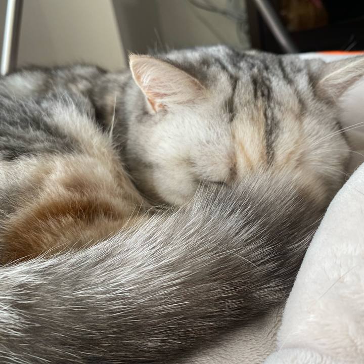 585547e2 9d0d 4f5d a205 2e67a7577a41 1764998525279