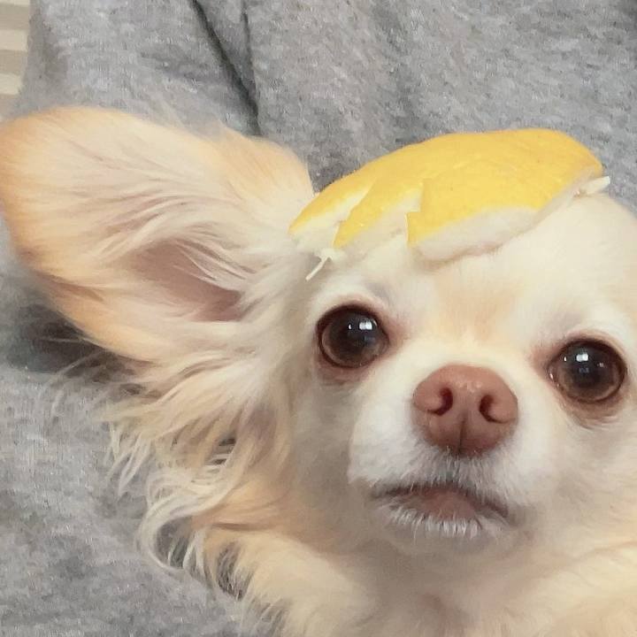 5855577b 188d 488b b86e ddc0e5aa3a66 1710681488388