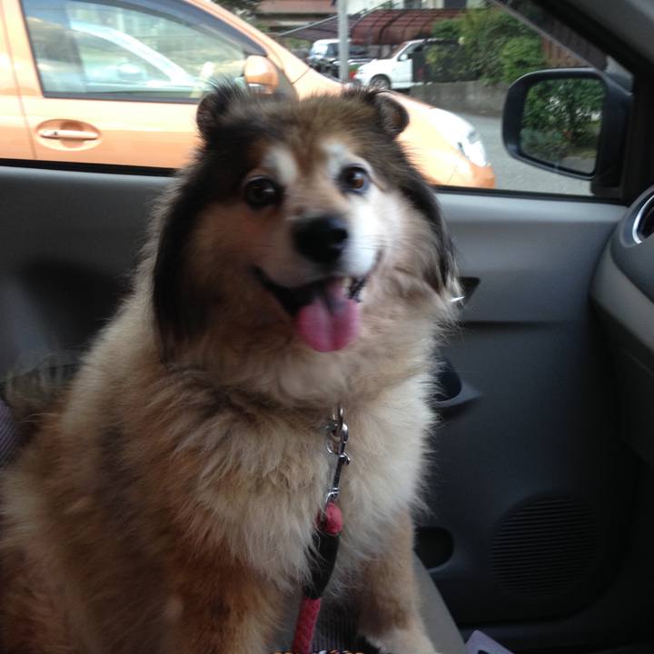 58557d41 7e6a 4a4c b056 5d1cfe4507d8 1547940560147