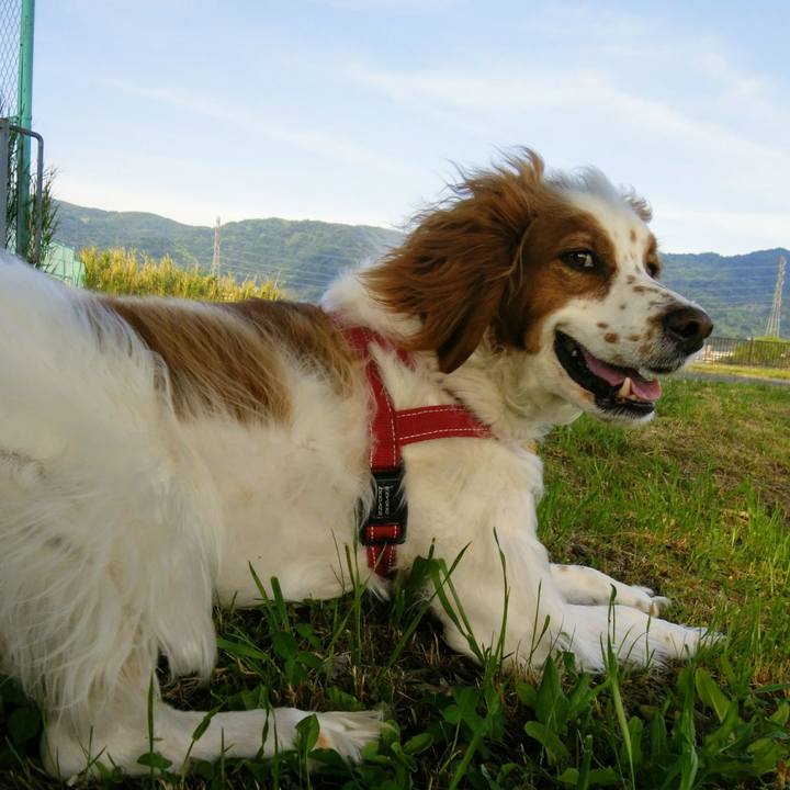 5855a336 ce20 4973 9617 5d2ed77a5d28 1558092907140