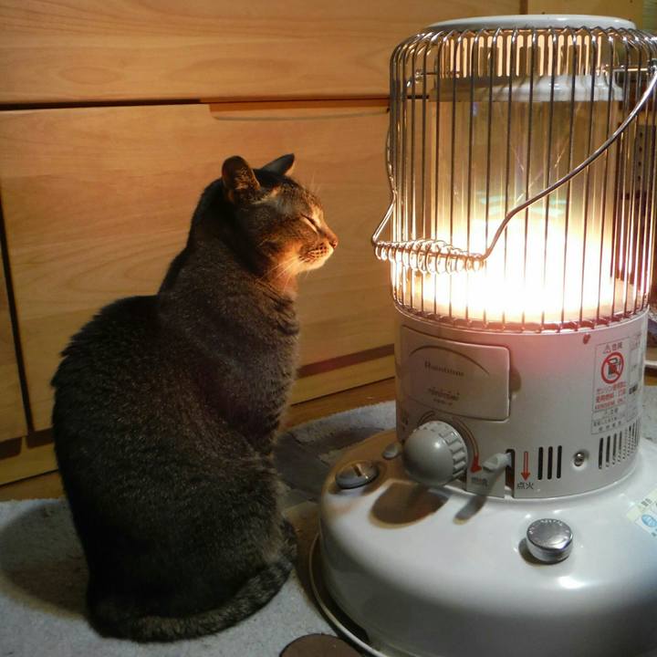 5855a81d 5233 46c3 8f10 c943e9bc935d 1512348222176