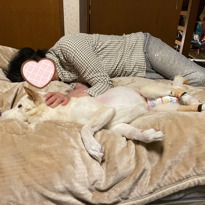 5855a833 dedc 4565 83d0 06fff96837dc 1678371074728