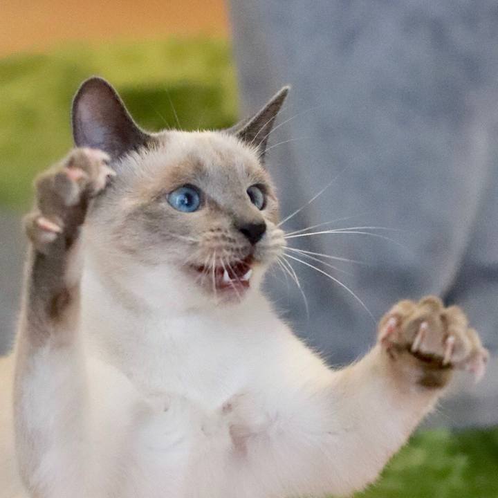 5855afce 46e6 4084 beee db743291edb5 1582334666641