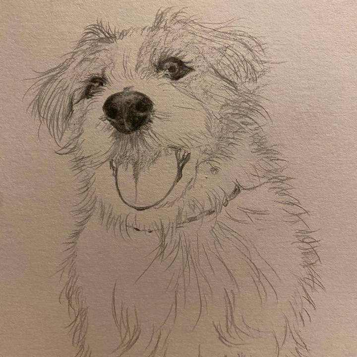 5855b34a 4ddd 4aff a416 b00220fb1c34 1656600006783