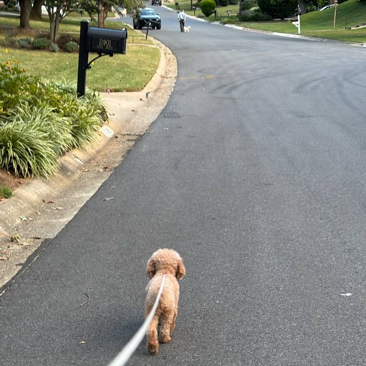 5855f487 51e5 4f56 8442 12cdca6a9f97 1757515222462