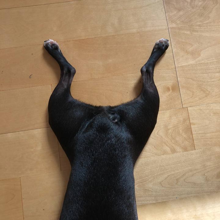 5855f4f2 b673 4347 b66d 9662d6eb8302 1663374011036