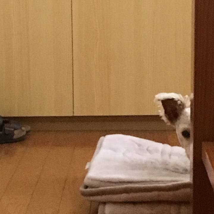 58561447 64ab 40c2 a494 54e386b146c3 1523743416358