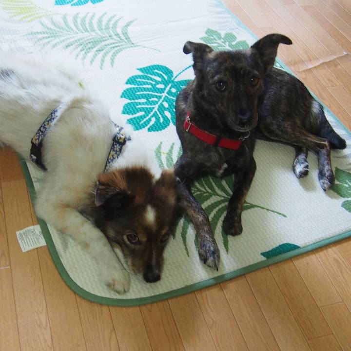 58564958 7a3e 45f9 b8c2 55c249e163cf 1540907176722