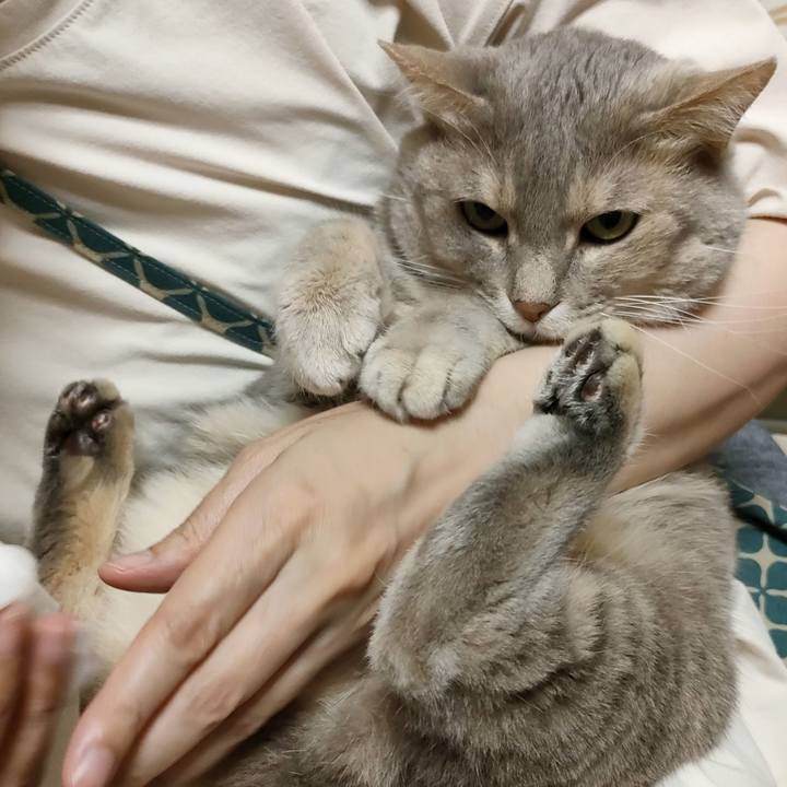 58564df0 c28d 45f4 a1f3 22ea9ca5f7e8 1688871842127