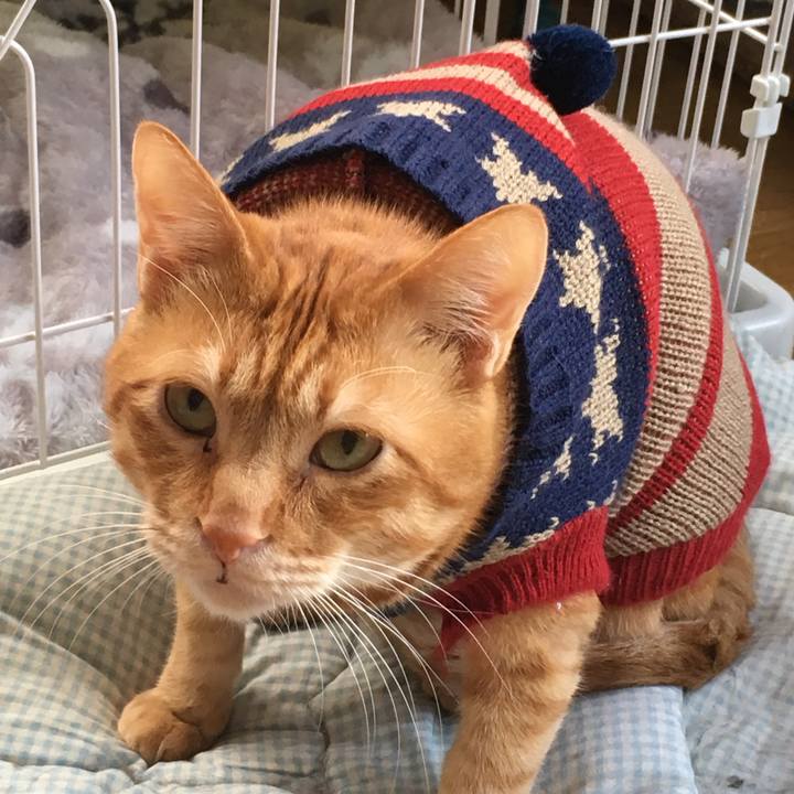 5856eee8 f7f7 48be a3fb 8cf40a136595 1539814485289