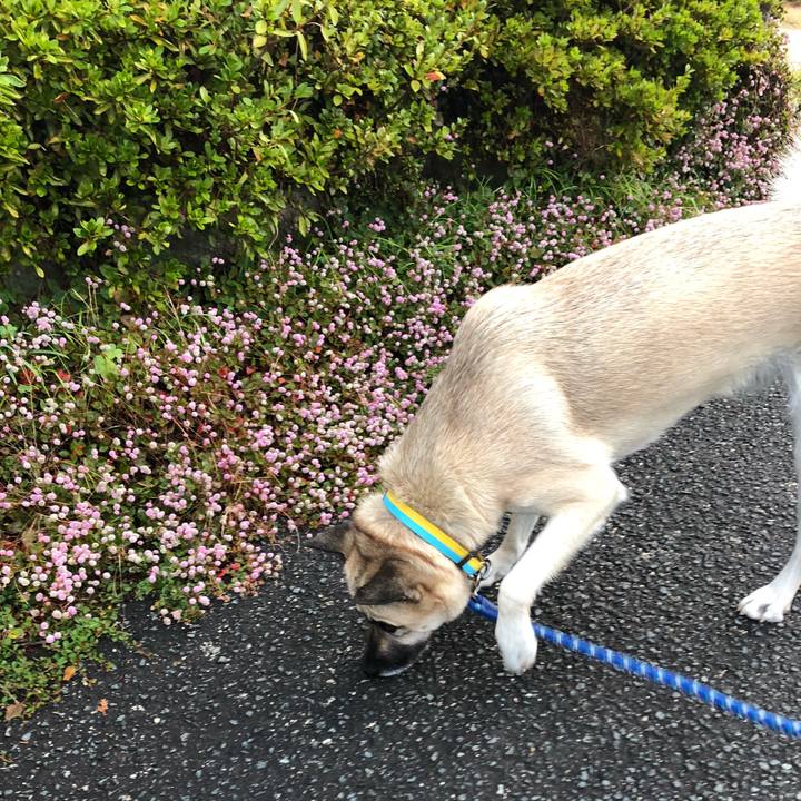 58570e02 d66b 4543 b556 1ad8e1724752 1542108926352