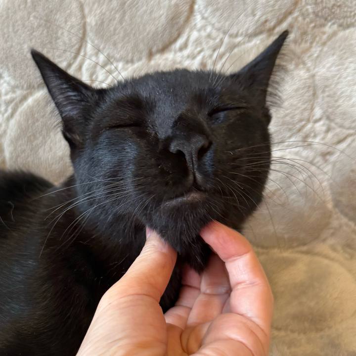 58570ef4 13b5 4319 b016 4038f101083b 1763073256430