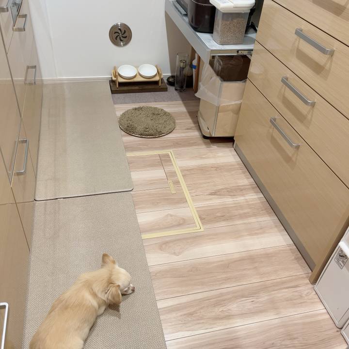 58574896 be5f 44e0 b3f5 949326035d81 1728025894847