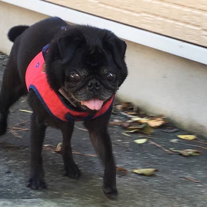 58575a4f 54f4 47c7 b8b3 2e2e83e56ea7 1539420560179