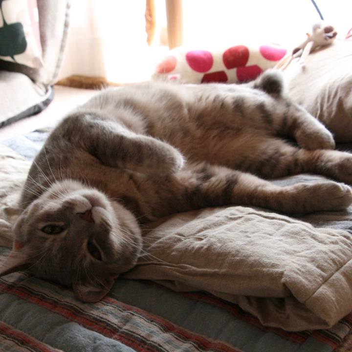 58576ae1 841b 4303 b96f a47d56b7f4a6 1508669553957