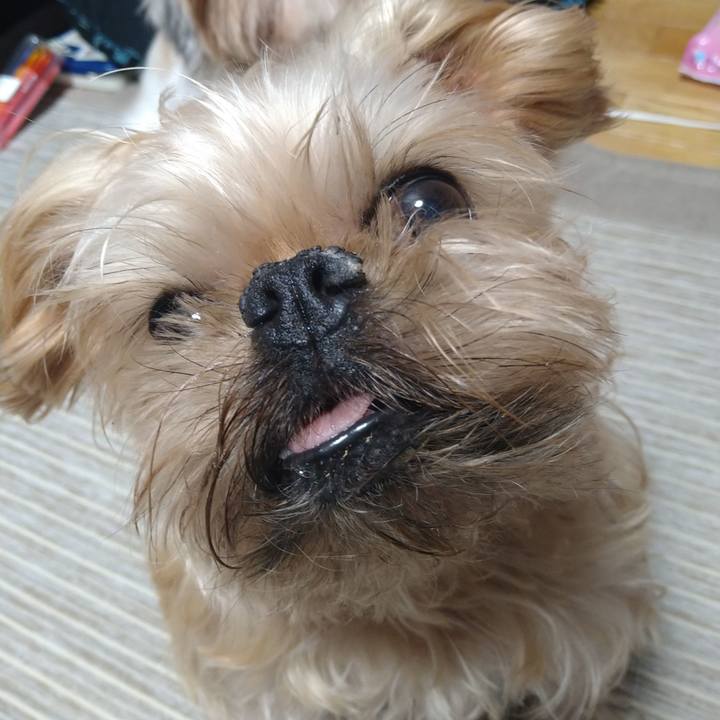 585797fb 542f 4162 8ba3 ac5ad33e266b 1607296590704