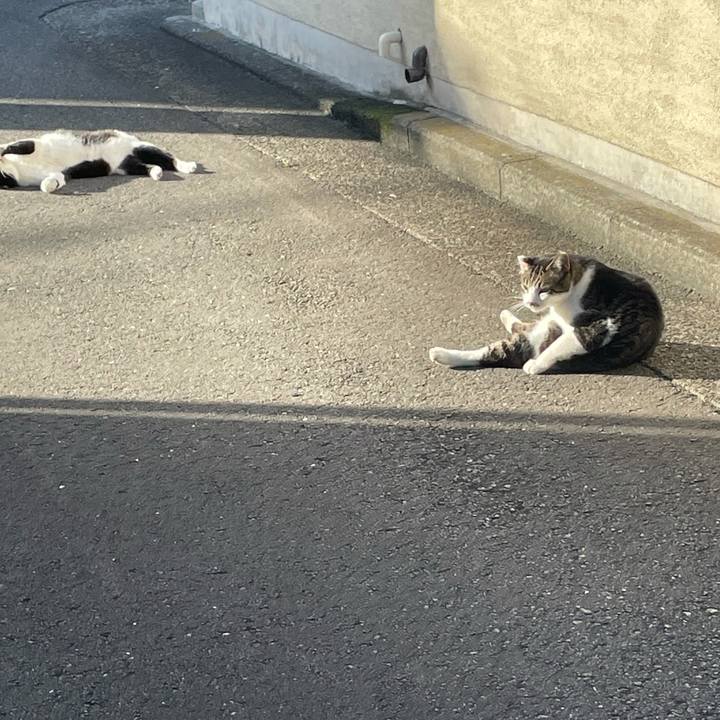 585799dc a707 4c10 b6d8 4238c71ff27b 1632208303647