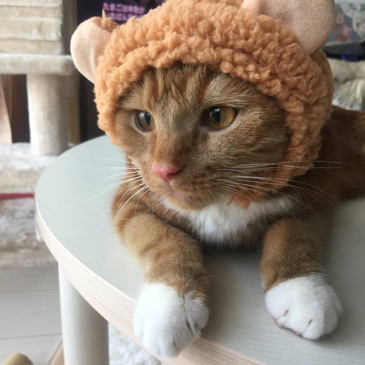 5857bcef 809e 4ca0 b2eb 58c367d338fd 1531953877450