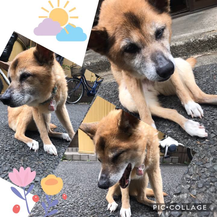 5857e664 d43a 4721 b632 63b64002902a 1559341838351