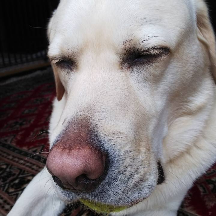 5857f150 1688 4058 beb2 db2b4815e7dc 1571648929006