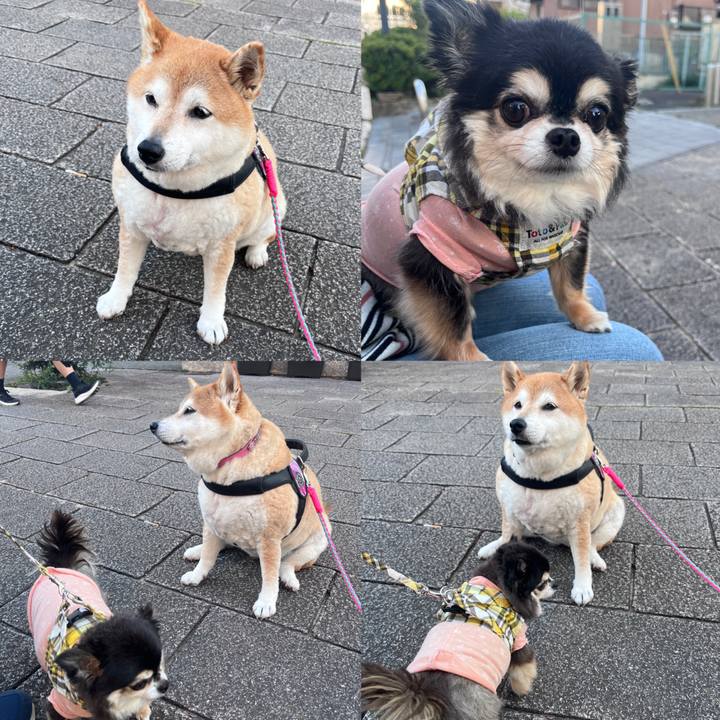 5857fa70 e9f0 4798 8191 002adb21fc2e 1715338444785