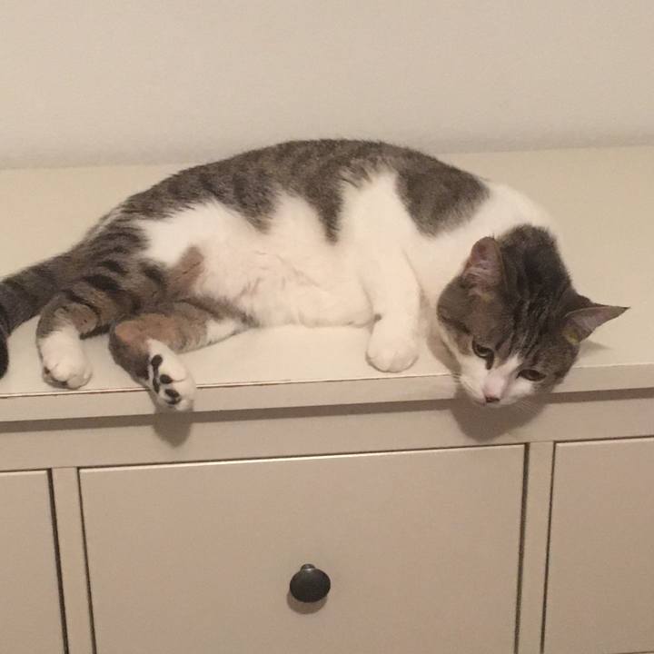 5857fb6a a6ef 40ff aab2 1301d2b852b7 1655944565756