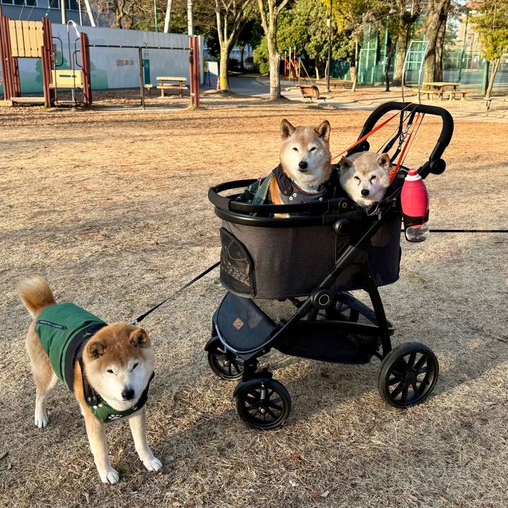 58584a27 f4ce 409a 9631 d06ca281edc4 1771601255076